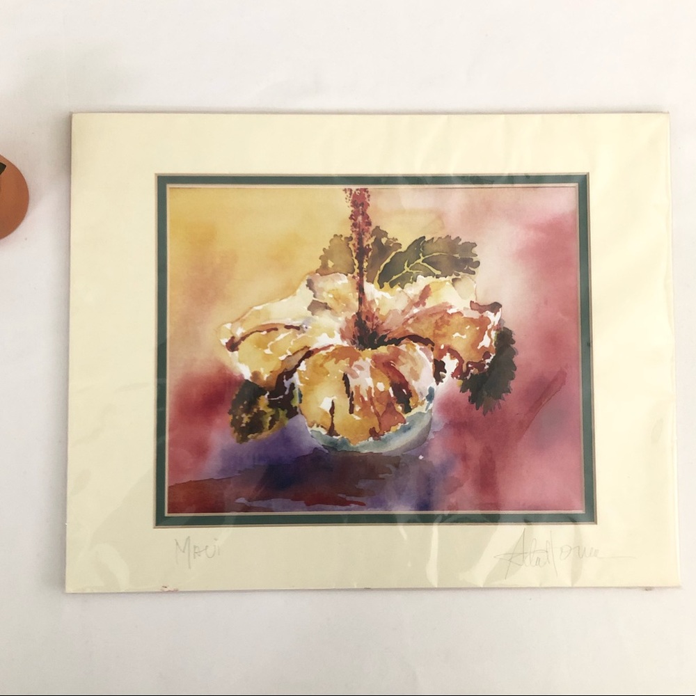 Hibiscus Flower Art with matting but no frame